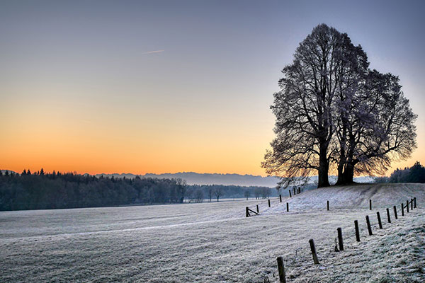 Winterlandschaft